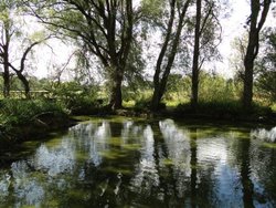 Peaceful moment Wallpaper