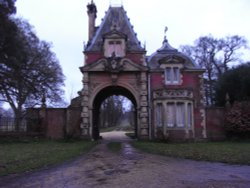 Strange but pretty Wallpaper