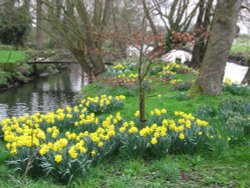 Around Ellingham Mill Wallpaper