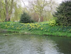 Around Ellingham Mill Wallpaper