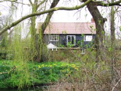 Around Ellingham Mill Wallpaper