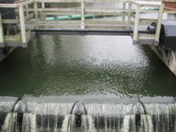 Sluice Gates at Ellingham Wallpaper