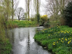 Around Ellingham Mill Wallpaper