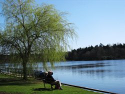 Fritton Lake Wallpaper