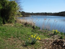 Fritton Lake Wallpaper