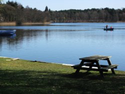 Fritton Lake Wallpaper