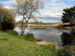 The fishing lake. Wallpaper
