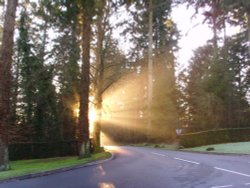 Centre Parcs morning rays Wallpaper