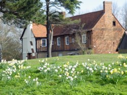 Spring, Ruislip Wallpaper