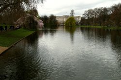 Green Park 2 Wallpaper