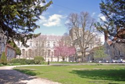Winchester Cathedral Wallpaper