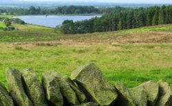 Spade Mill Reservoir Wallpaper