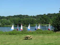 Whitlingham Country Park Wallpaper