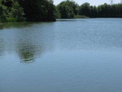 Whitlingham Country Park Wallpaper