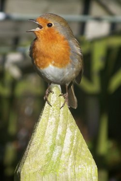 He got the point !!!