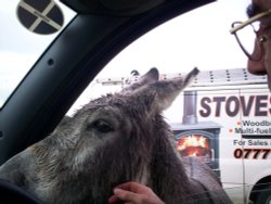 My turn to drive !!! Wallpaper