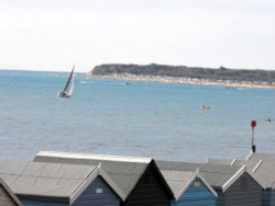 Soaring over the rooftops Wallpaper