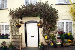 The garden may not be big but it is nice.