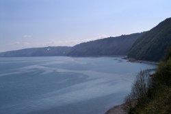 View from a garden. Wallpaper