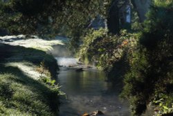 Autumn Morning Wallpaper