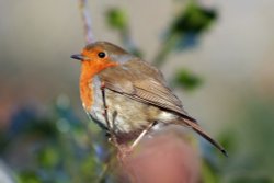 Living the view Wallpaper