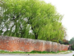 This Crinkle Crackle wall Wallpaper