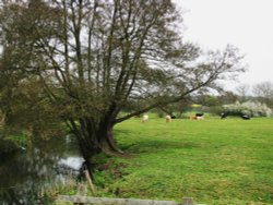 A Country View Wallpaper