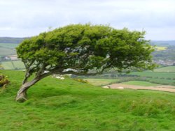 Blown away Wallpaper