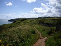 Cliff Path