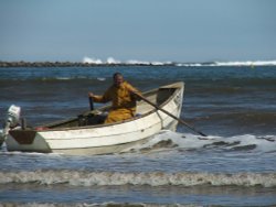 Riding the crest Wallpaper