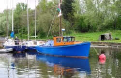 Dont I look good Wallpaper