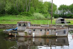 I need some TLC Wallpaper