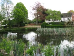 The Village Pond Wallpaper