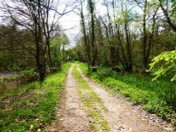 The roads end leading onto a private path Wallpaper
