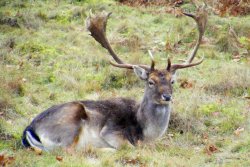 Taking it easy Wallpaper