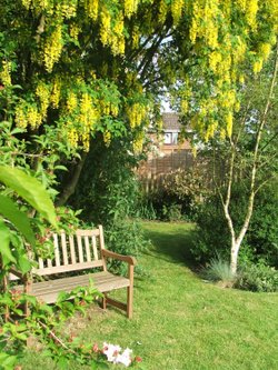 My Garden in the Garden of England