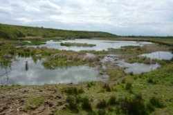RSPB Fairburn Ings Wallpaper