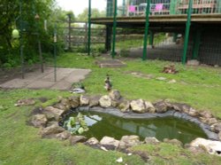 RSPB Fairburn Ings Wallpaper