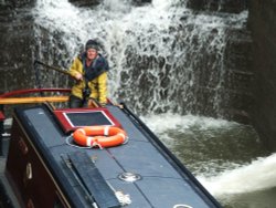 Barging his way through! Wallpaper