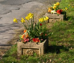 On the side of the road. Wallpaper