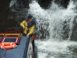 Picture of concentration Wallpaper