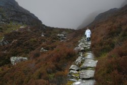 The Roman Steps Wallpaper