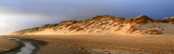 Dunes near Sunset Wallpaper