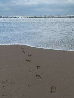 Footprints in the sand