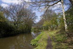 Coventry Canal Wallpaper
