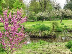 Opposite the Church Wallpaper