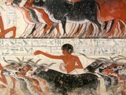 British Museum Wallpaper