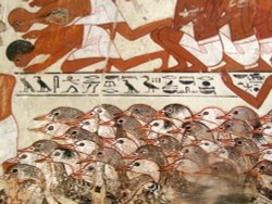 British Museum Wallpaper