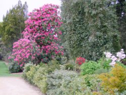 Wentworth Castle Wallpaper