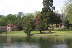Caversham Court Gardens Wallpaper